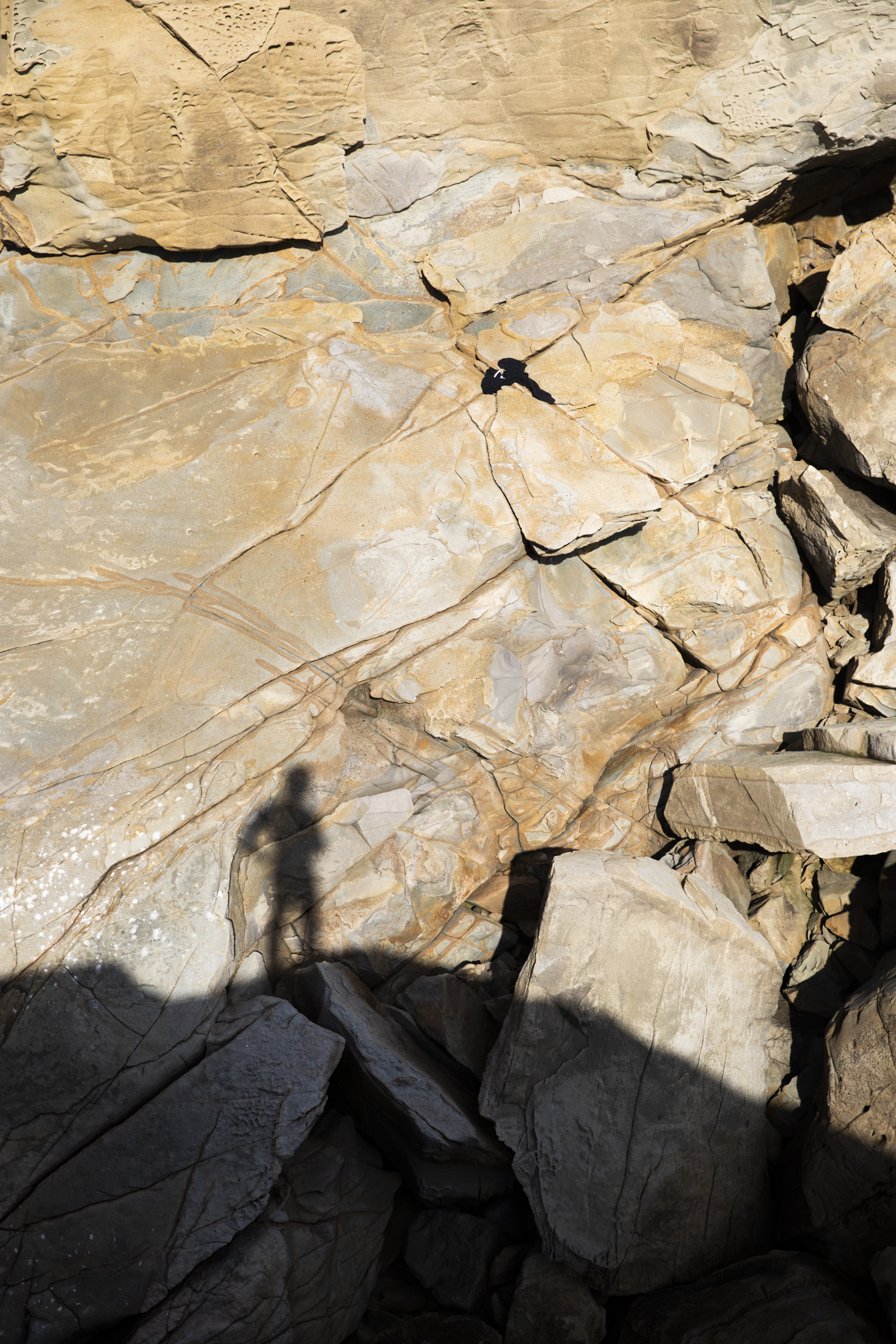 Photograph of a human shadow falling on sandstone on the Sonoma Coast